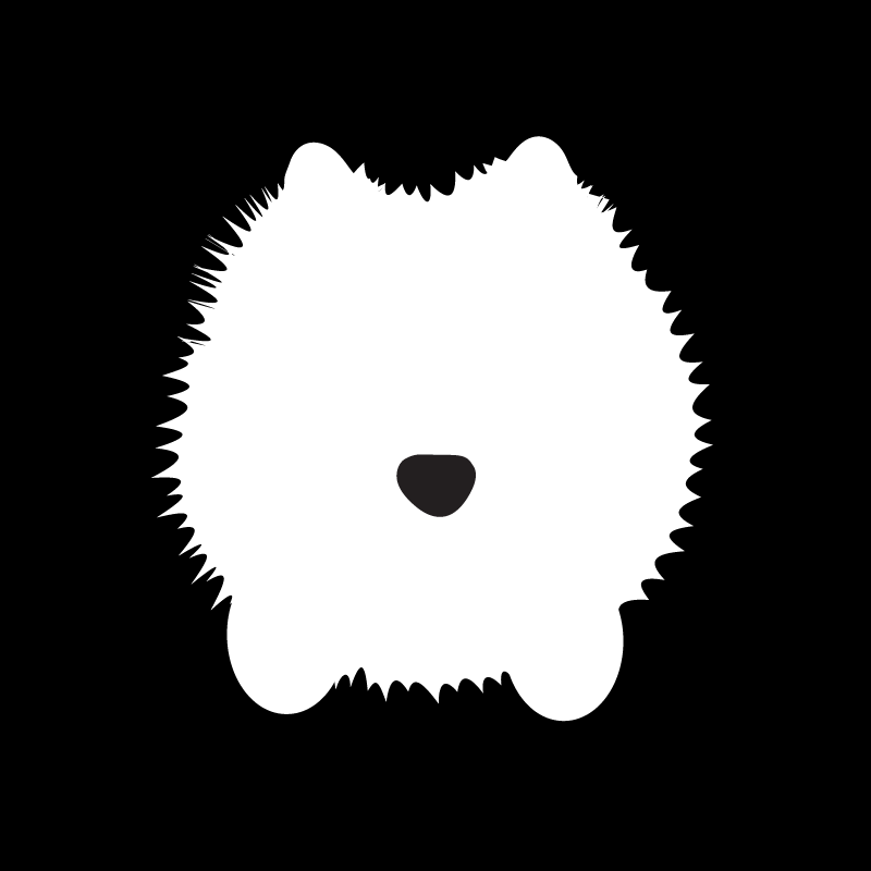 Nupsu game studio 